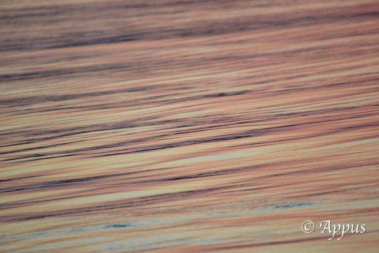 La Loire au coucher du soleil