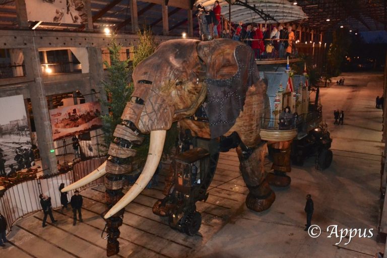 Les Machines, L'éléphant