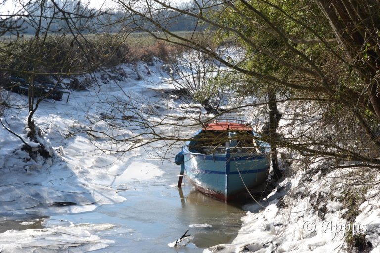 Bras de Loire Gelée (2)