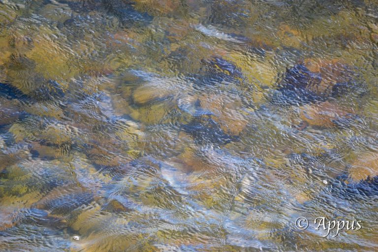 Ondes et Reflets Marins (2)