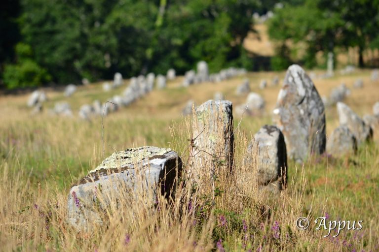 Carnac (6)